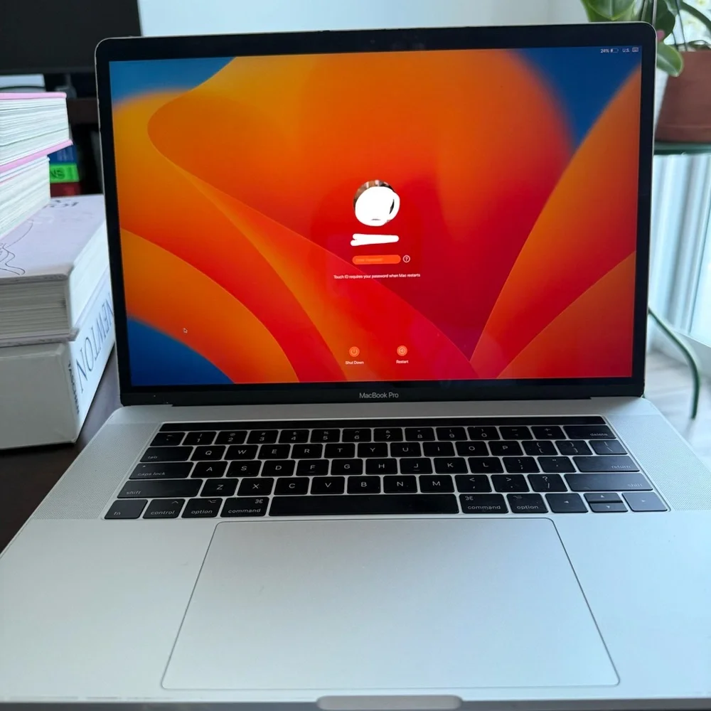 Macbook Pro laptop 250GB